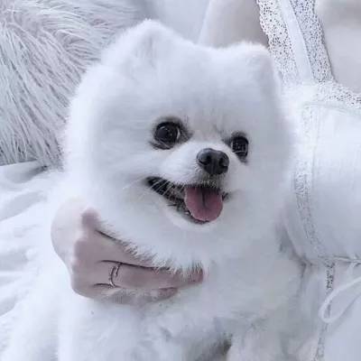 爱游戏平台手机app下载截图