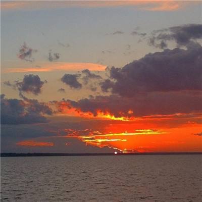 凤凰娱乐彩票官方版app网址