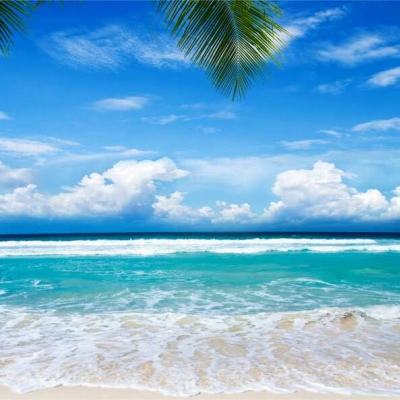 欢迎使用乐鱼App