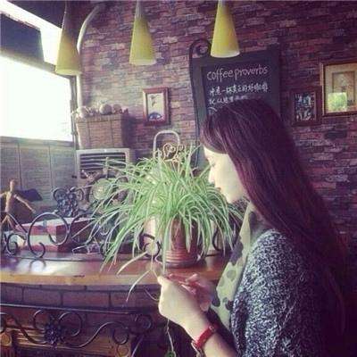 凤凰娱乐彩票官方版app网址截图